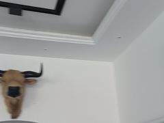 -黄牛肉馆·皖南土菜