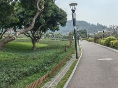 -立新湖公园