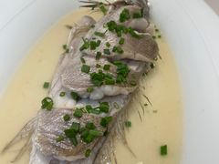 -虎哥私房菜(馒头山店)