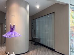 -BBD芭蕾舞蹈学校(紫峰校区)