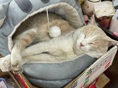 -储奇门鳝鱼火锅(总店)