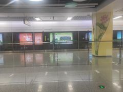 -杨柳河(地铁站)