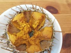 -海胆小馆(东北水饺·春柳店)