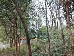-潜山国家森林公园
