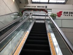 -虹桥机场国航贵宾室v8