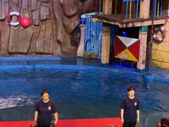 -烟台海昌鲸鲨海洋公园