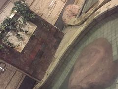 -天目湖涵田半山温泉