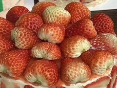 -流酥可心·牛乳蛋糕商店(禾祥西路店)