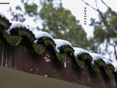 -中国茶叶博物馆(双峰馆区)