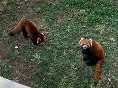 -石家庄市动物园