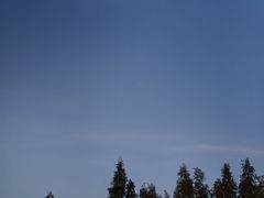 -三水森林公园