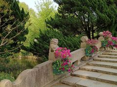 -上海醉白池公园