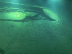 -白鹤梁水下博物馆