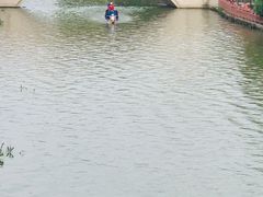 -三林塘老街