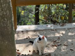 -上海佘山国家森林公园天马山园