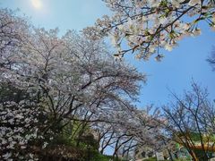 -杭州少年儿童公园