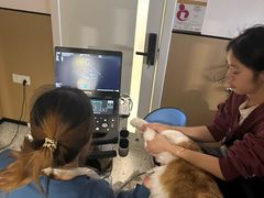 -瑞派康怡24h宠物医院·犬猫医疗中心·微创绝育(瑞景分院)