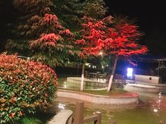 -三江森林温泉度假区