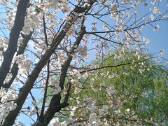 -贵阳市花溪国家城市湿地公园