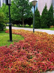 -大望京儿童游乐场