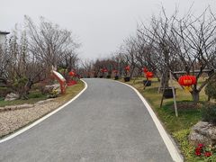 -上海长兴岛郊野公园