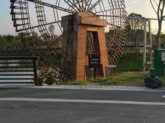 -王借岗森林公园
