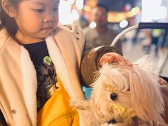 -邓莽子老火锅(鲁祖庙店)