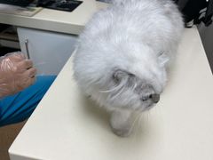 -宠颐生中康贝怡动物医院