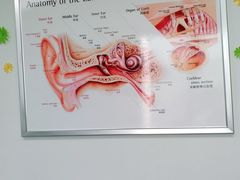 -自然之声助听器·呼吸机(翠微大厦店)