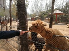 -大连森林动物园