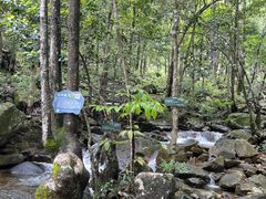 -姑婆山旅游区