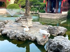 -祝家花園(伯渎港店)