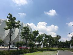 -荆州体育中心-游泳馆