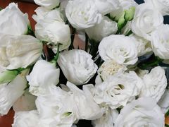 -循礼门鲜花花市(武汉循礼门店)