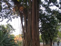 -晓港公园