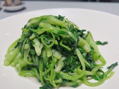 清炒鸡毛菜-徐记海鲜(南油永新汇店)