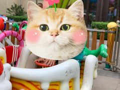 -远洋未来广场(育慧北路店)