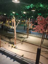 -酷嗒动物文化乐园(cutezoo西溪乐天城店)