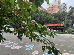 -金豆子幼稚园
