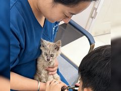 -派美特宠物医院·核磁CT·骨科肿瘤·疑难转诊(沈农禾丰店)