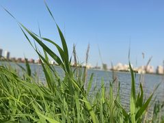 -天津东丽湖风景区