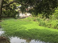 -杭州花家山庄