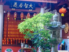 -叩齿古寺