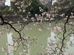 -红星桥(地铁站)