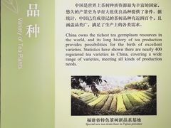 -中国茶叶博物馆(双峰馆区)
