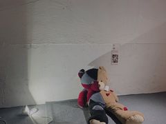 -金茂览秀城