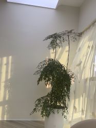 -HEYAN荷妍专业脱毛连锁机构