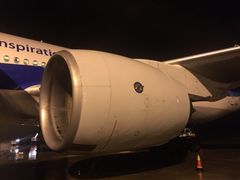 -全日本空输株式会社(上海办事处)