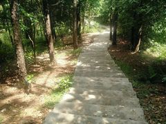 -滴水岩森林公园