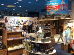 -东京塔海贼王主题公园